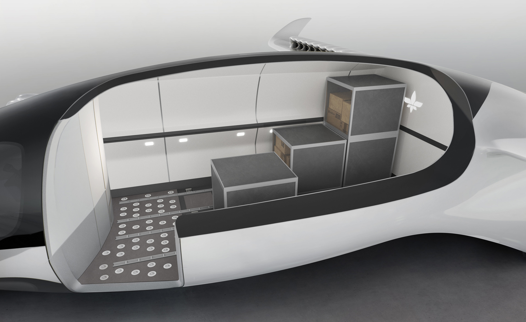 Lilium Jet cargo configuration Lilium Jet cargo configuration